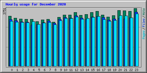 Hourly usage for December 2020