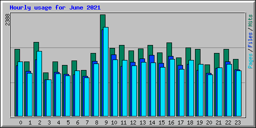 Hourly usage for June 2021