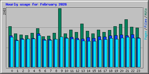 Hourly usage for February 2026